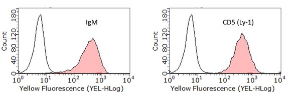 CH27 Mouse B Cell Lymphoma Cell Line | SCC115